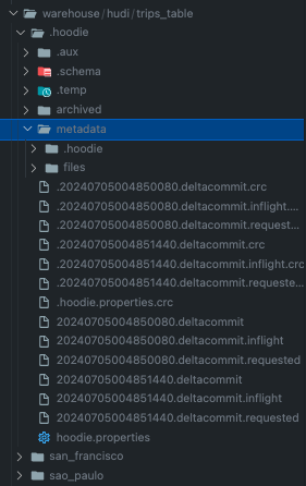 hudi-files-view